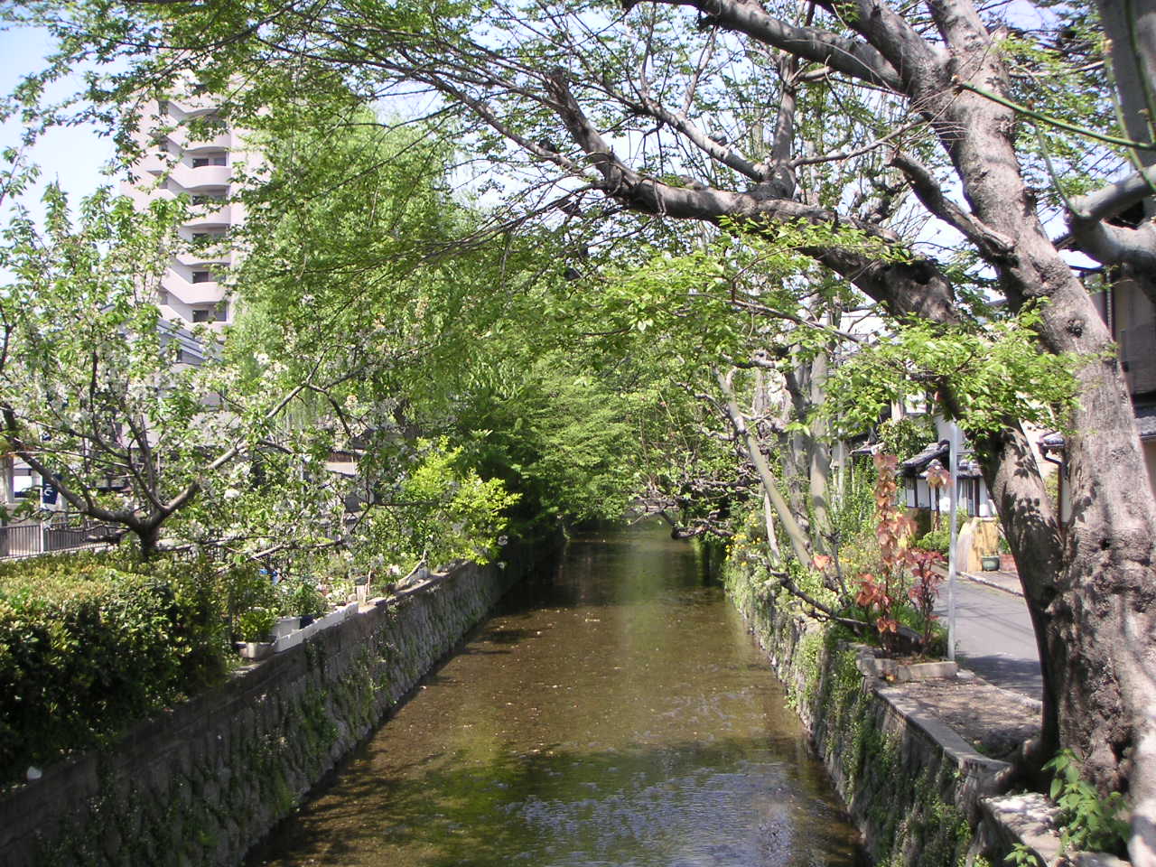 River Walk